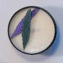 15.webp