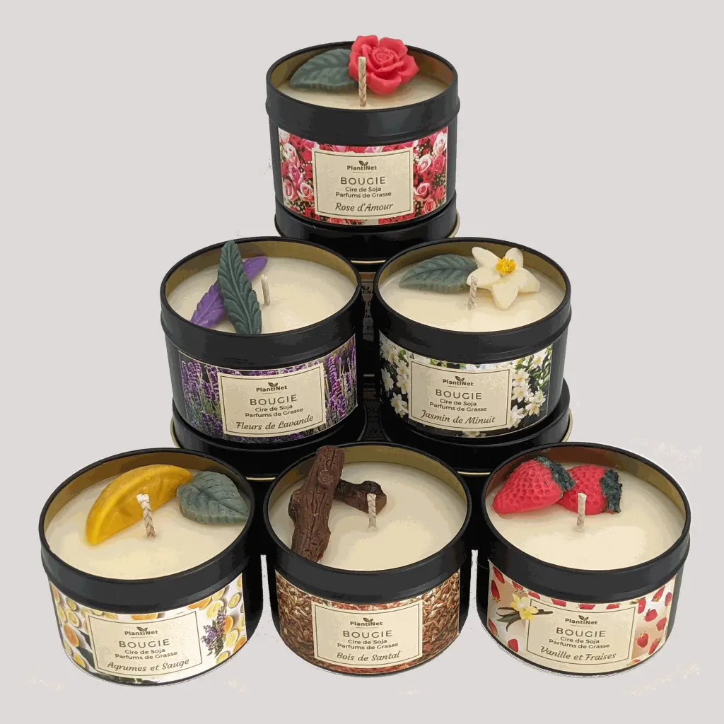 Bougies déco fondants (4).webp