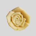 21.webp