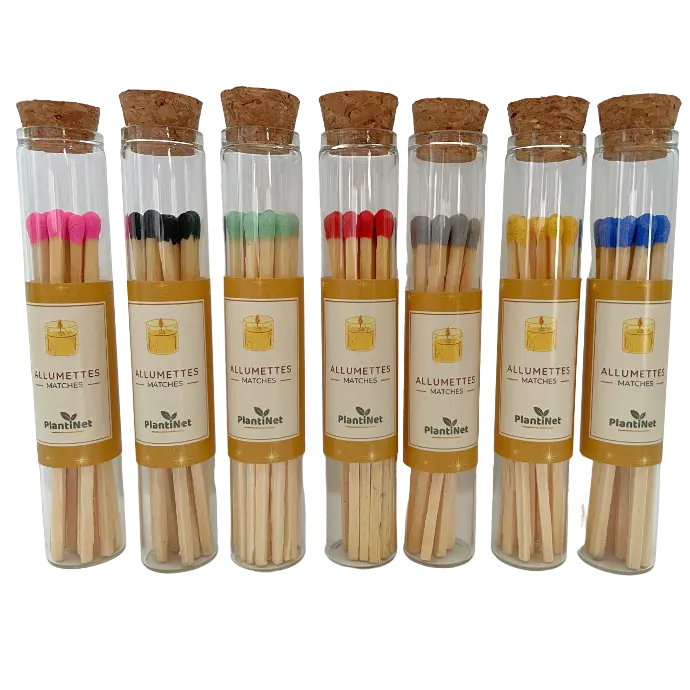 Fiole Allumettes colorées 10cm