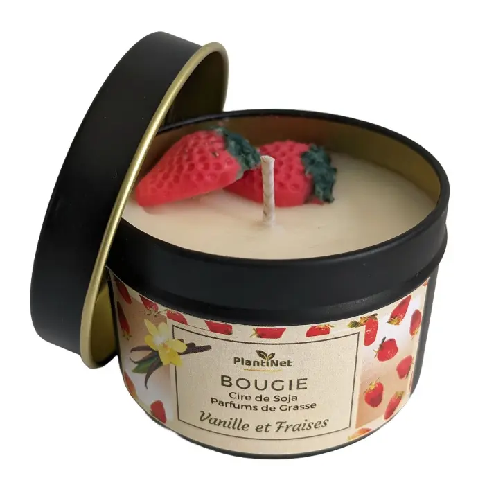Vanille et Fraises