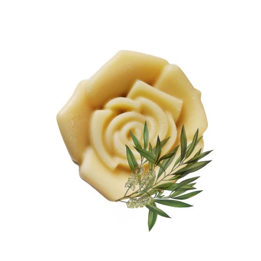 [SS-002-2020] Le Purifiant