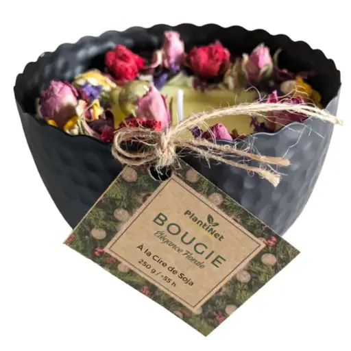 Bougie Élégance Florale