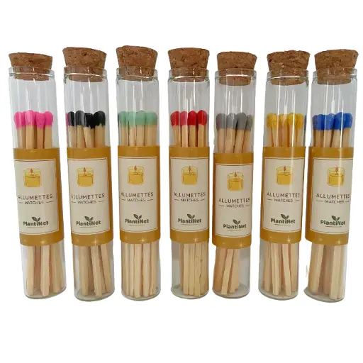 Fiole Allumettes colorées 10cm