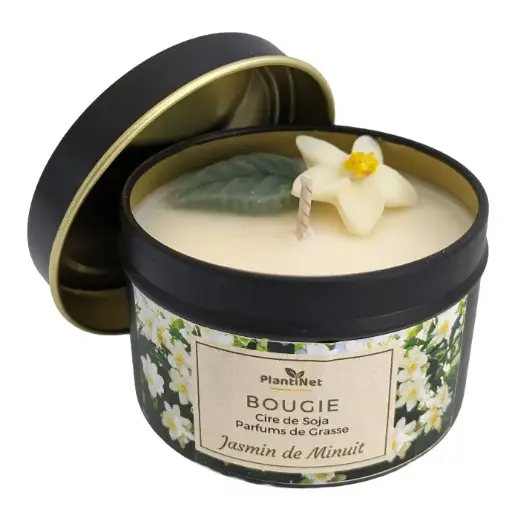 Jasmin de Minuit
