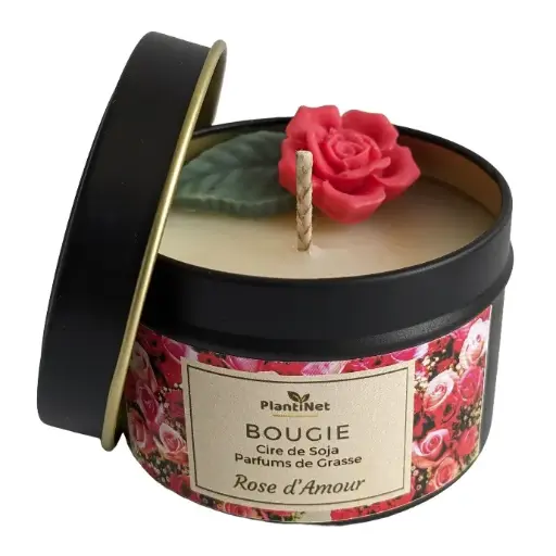 Rose d'Amour