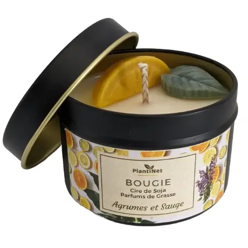 Agrumes et Sauge