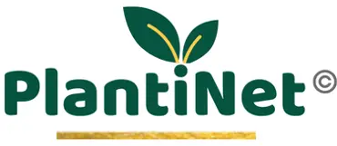 PlantiNet | Coffrets cadeaux parfumés